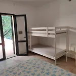 New Coccorrocci *