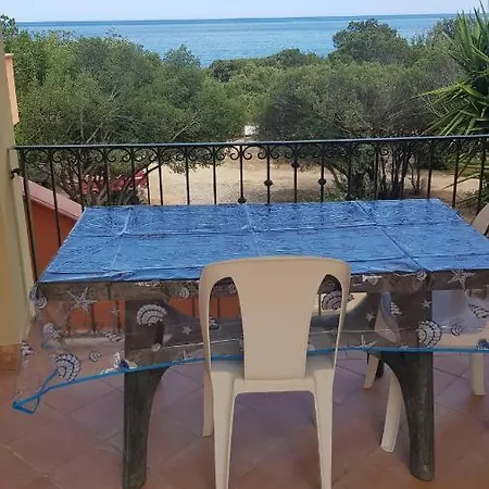 New Coccorrocci *