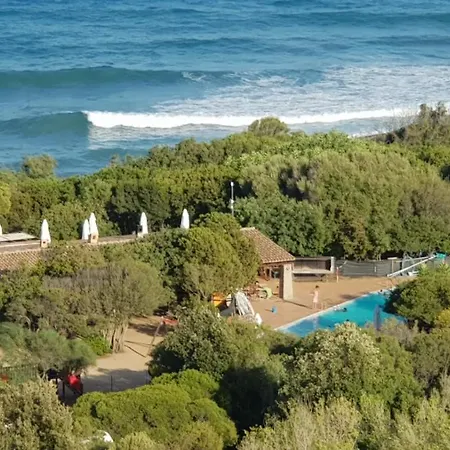 New Coccorrocci *