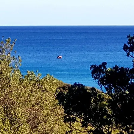 Campsite New Coccorrocci *