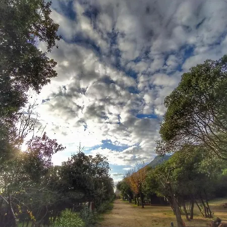 Campsite New Coccorrocci