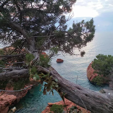Campsite New Coccorrocci