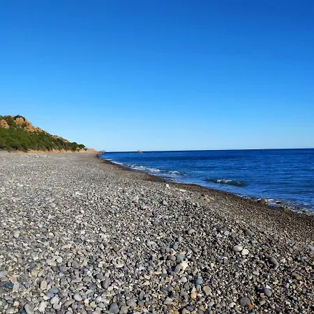 New Coccorrocci