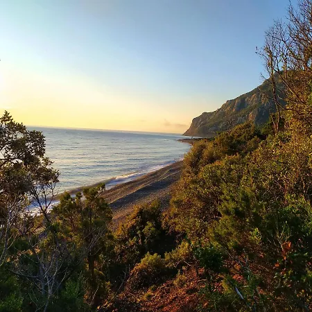 New Coccorrocci *