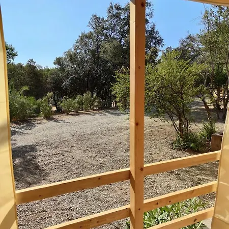 Kemp New Coccorrocci *