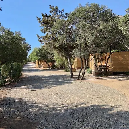 New Coccorrocci Camping