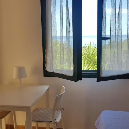 New Coccorrocci *