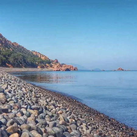 Camping New Coccorrocci