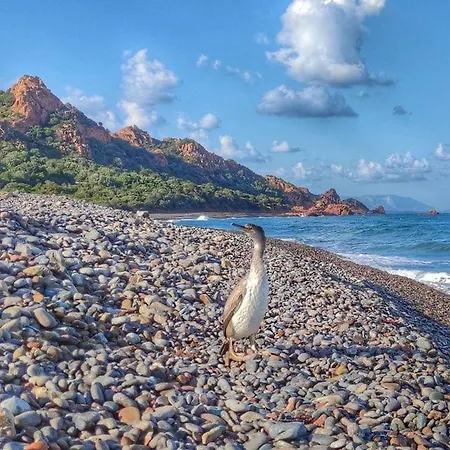 Camping New Coccorrocci