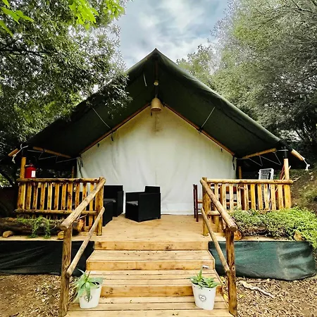 Camping New Coccorrocci *
