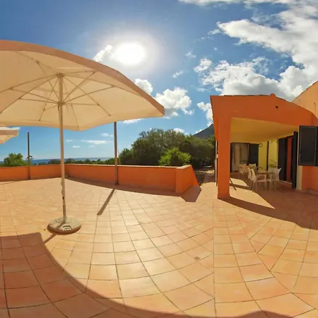 Kemp New Coccorrocci *